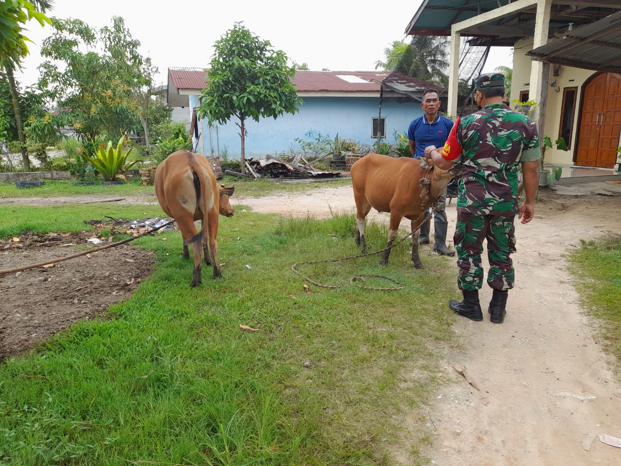 Pelda Sapi'i Laksanakan Sosialisasi Pencegahan PMK