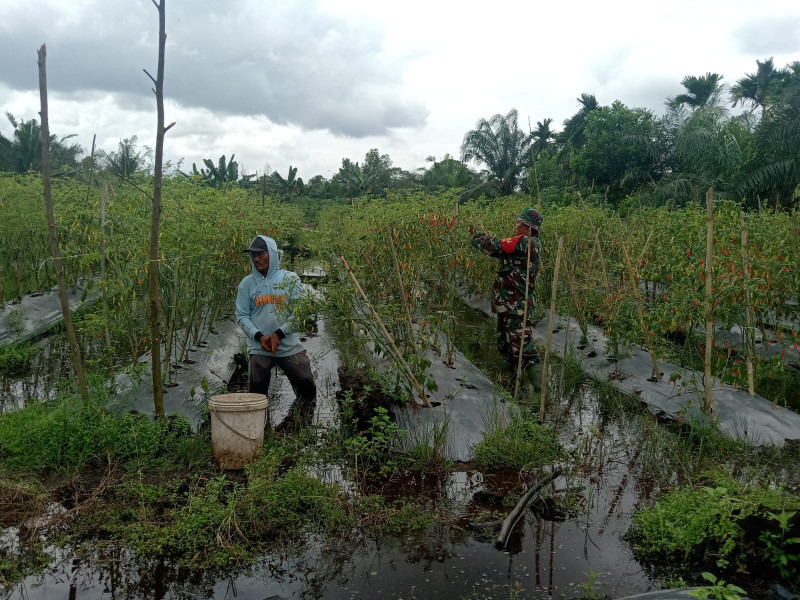 Serka Suandi Berikan Motivasi Kepada Petani Cabe