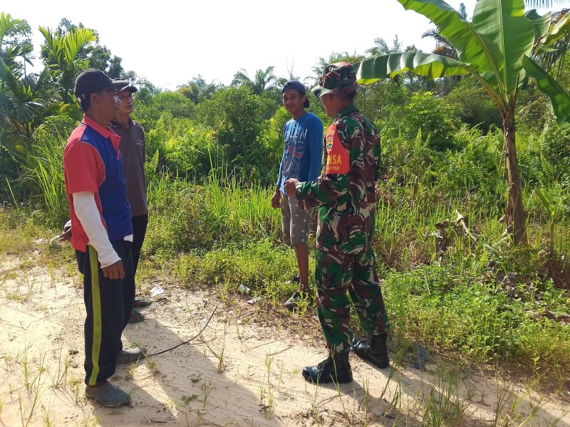 Babinsa Dumai Timur Giat Patroli Karhutla, Warga Dihimbau Tidak Bakar Lahan