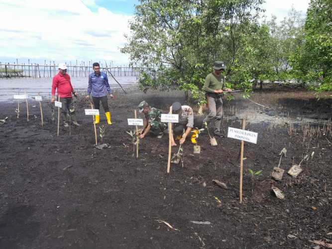 Danramil PWK 04 Hadiri Kegiatan Penanaman Pohon Magrove