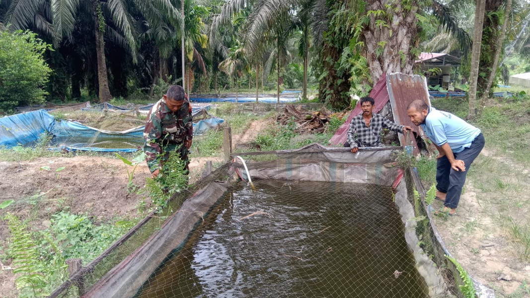 Babinsa Mekarsari Sosialisasikan Larangan Karhutla saat Dampingi Budidaya Lele