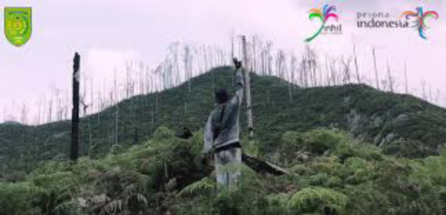 Bukit Condong Selensen Menjadi Jalur Pendakian Favorit Inhil