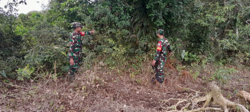 Babinsa Koramil 06/Merbau Tingkatkan Patroli Karhutla di Desa Padang Kamal