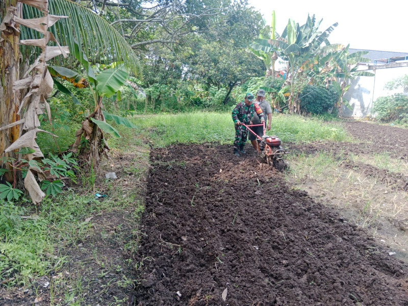 Babinsa Kelurahan Purnama Dampingi Warga dalam Penyiapan Lahan Tanaman Bayam