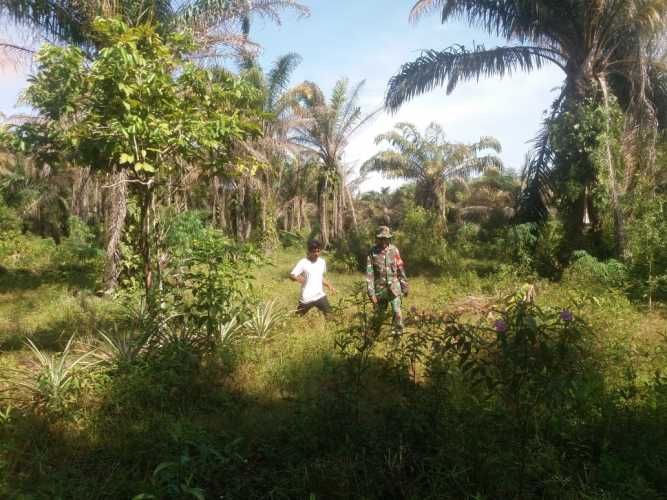 Dandim Perintahkan Jajarannya Untuk Mencegah Karhutla