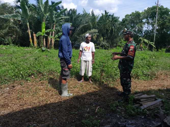 Sertu Aslim Lubis Berikan Sosialisasi Cegah Karhutla di Jalan Swadaya