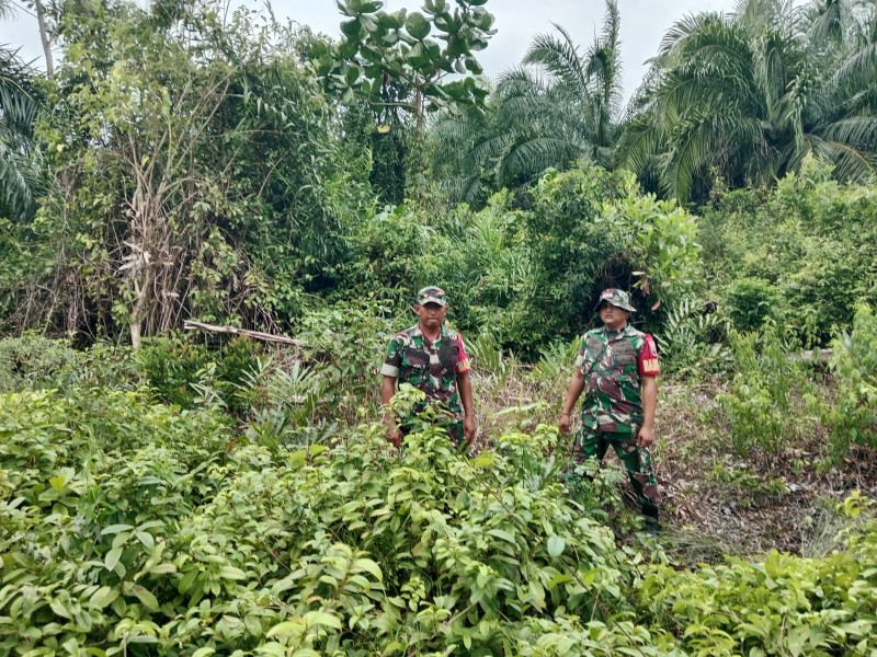 Patroli Karhutla, Babinsa Perkuat Kewaspadaan di Wilayah Rawan