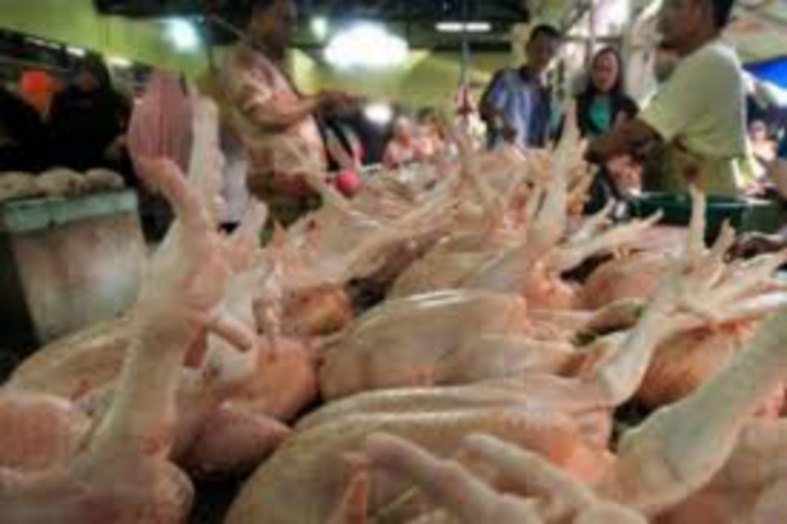 Disdagtri: Daging Ayam Ras Alami Penurunan Harga