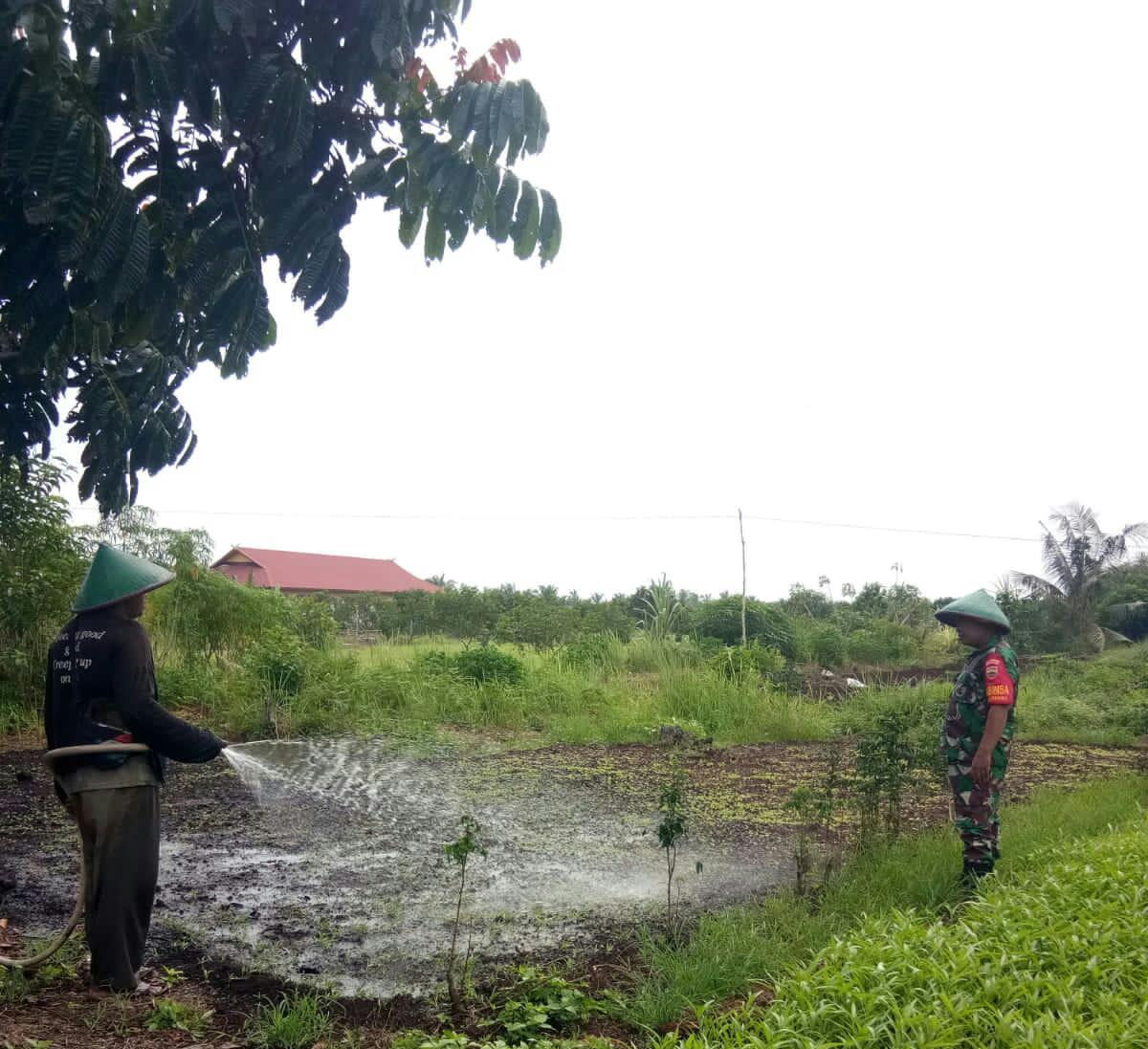 Cegah Karhutla, Sertu Mahyudin Laksanakan Pendampingan