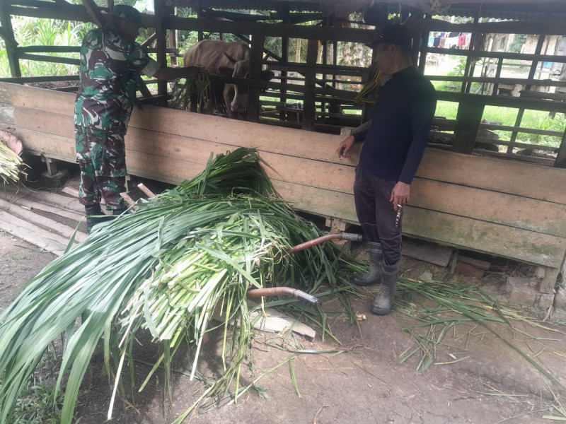 Serka M Aslim Lubis Laksanakan Giat Cegah PMK di Wilayah Binaannya