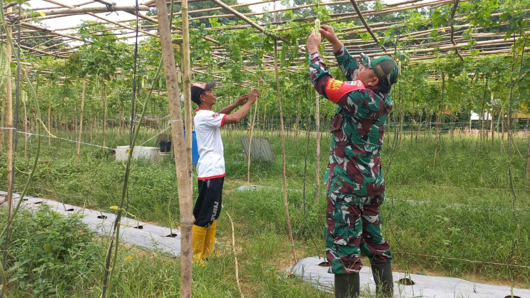 Serda Roni Sandra Melaksanakan Giat Pendampingan Karya Nyata