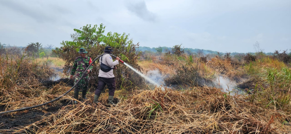 Giat Pendinginan Lahan Oleh Babinsa Koramil 03 SS