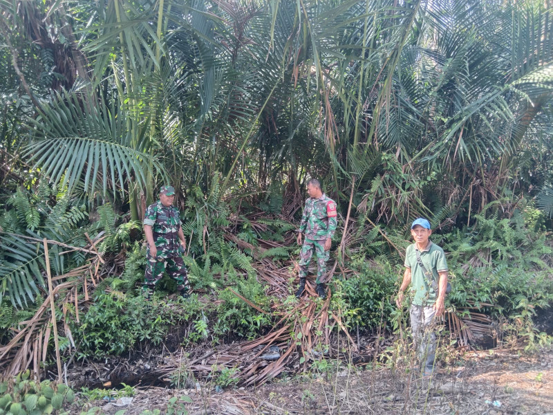 Babinsa Koramil 06/Merbau Gencarkan Patroli Karhutla di Kepulauan Meranti