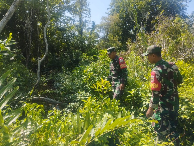 Babinsa Imbau Warga Tak Bakar Hutan, Sosialisasi Karhutla Diperkuat di Pulau Merbau