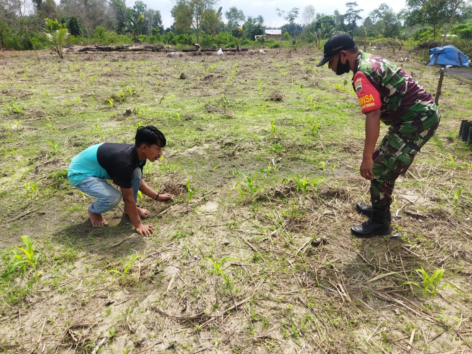 Babinsa Laksanakan Sosialisasi Pencegahan Karhutla dan Pendampingan