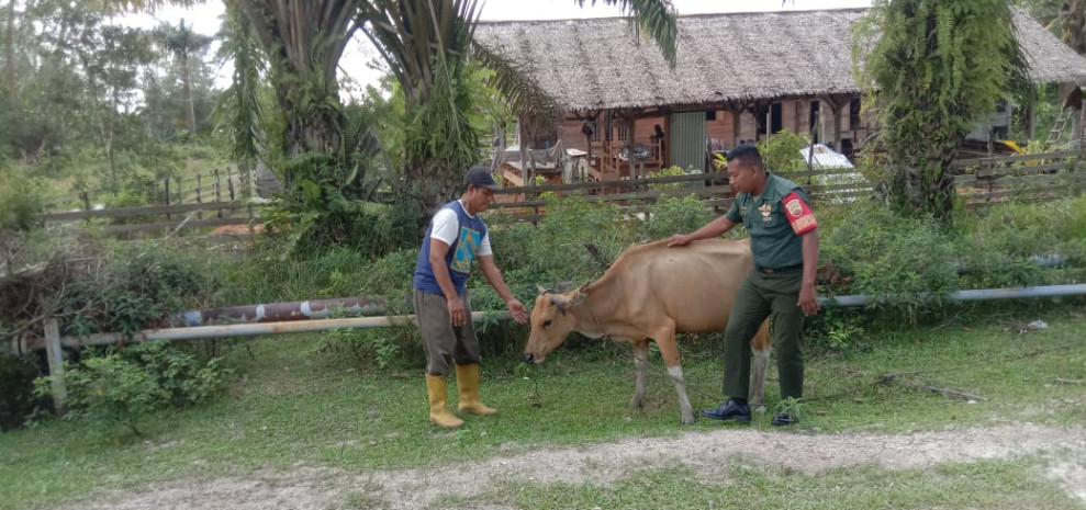 Pratu Rahmad Meninjau Peternak di Wilayah Binaannya