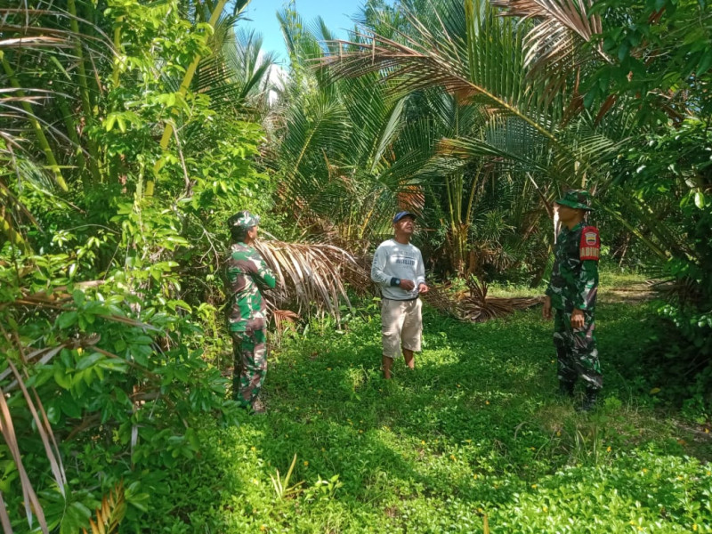 Peninjauan Lahan dan Hutan Oleh Babinsa Koramil 06 Merbau Untuk Mengantisipasi Karhutla