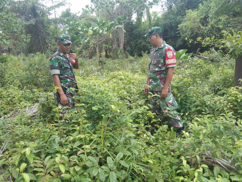 Babinsa Bersama Warga Susuri Lahan Rawan Karhutla di Kepulauan Meranti