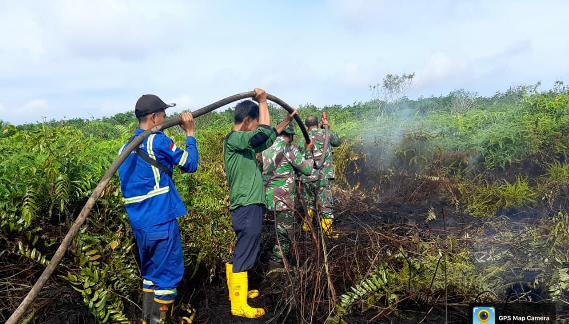 Koramil 04/PWK Bersama Personil Gabungan Padamkan Karhutla di Kelurahan Pelintung