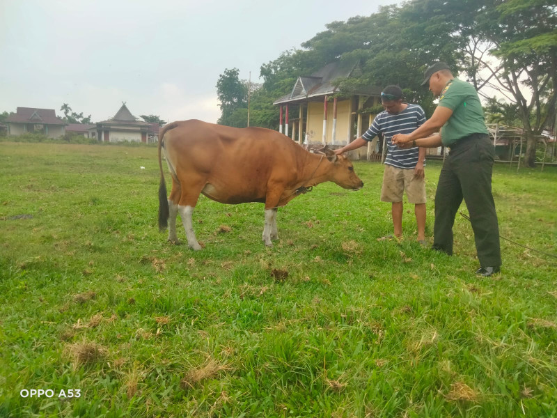 Giat Babinsa Koramil 06 Merbau Serda Ansari Cegah PMK