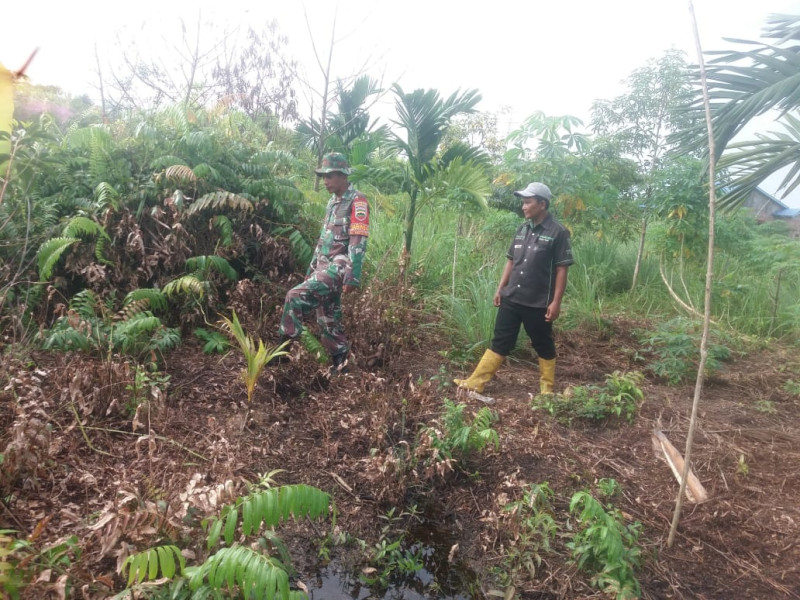 Penelusuran Hutan dan Lahan Untuk Memastikan Aman Dari Karhutla Dilakukan Sertu Nono