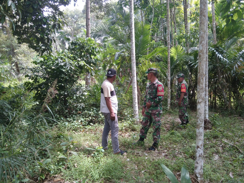 Melalui Babinsanya, Koramil 06/Merbau Laksanakan Giat Cegah Karhutla