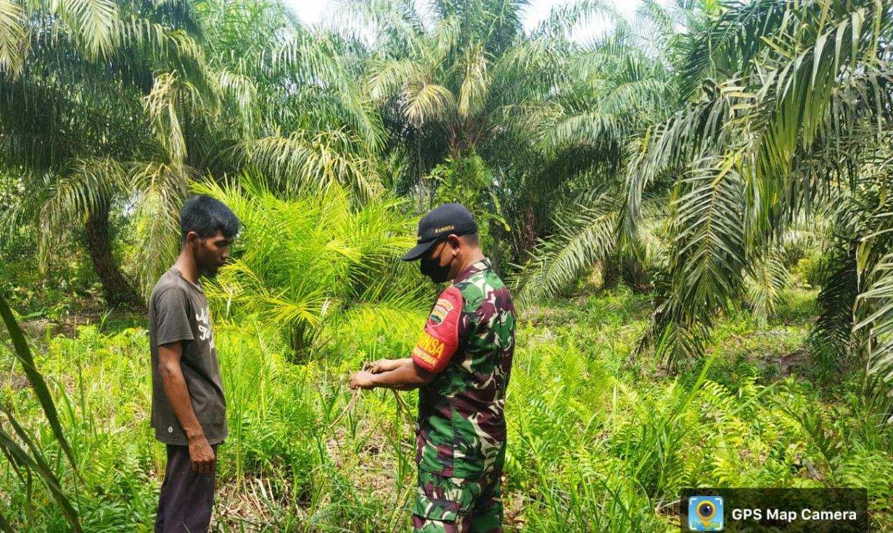 Sertu Abu Kasim Ajak Masyarakat Jaga Hutan