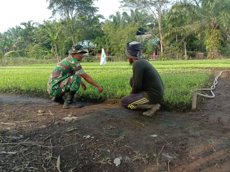 Pendampingan Oleh Serda Priyo Sudarmo Kepada Petani