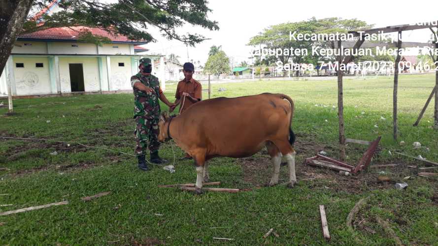 Babinsa Pelda A Nababan Sambangi Peternak di Desa Bandul