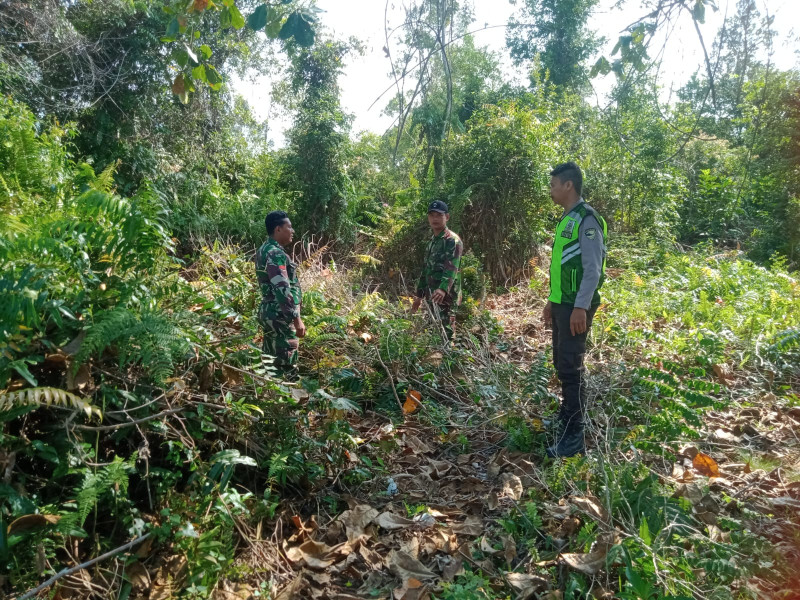 Patroli Rutin Cegah Karhutla Oleh Serda K Sinaga