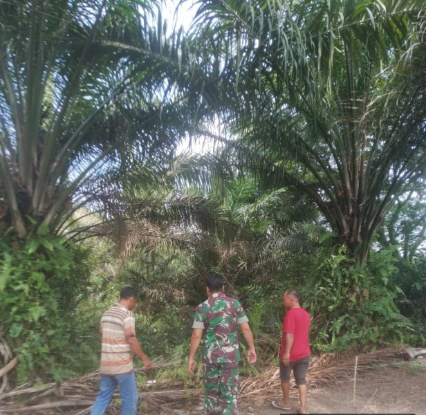 Pemahaman Untuk Jaga Hutan Diberikan Oleh Serma Nofrianto Kepada Masyarakat