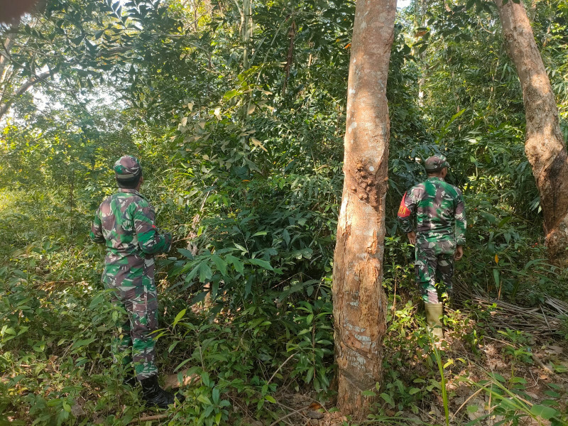 Komsos Rutin dan Patroli Dilaksanakan Babinsa Koramil 06 Merbau Guna Mencegah Karhutla