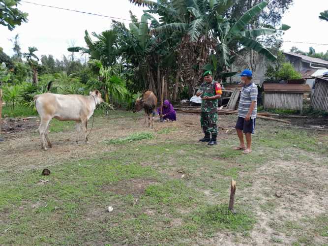 Babinsa Meminta Peternak Jaga Kebersihan Kandang