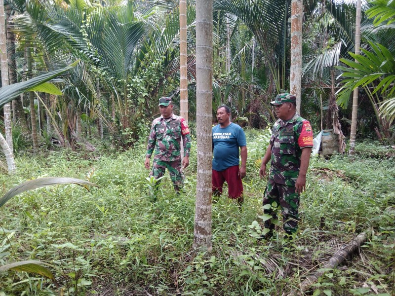 Patroli Babinsa Koramil 06/Merbau di Desa Dedap, Upaya Cegah Karhutla di Lahan Gambut