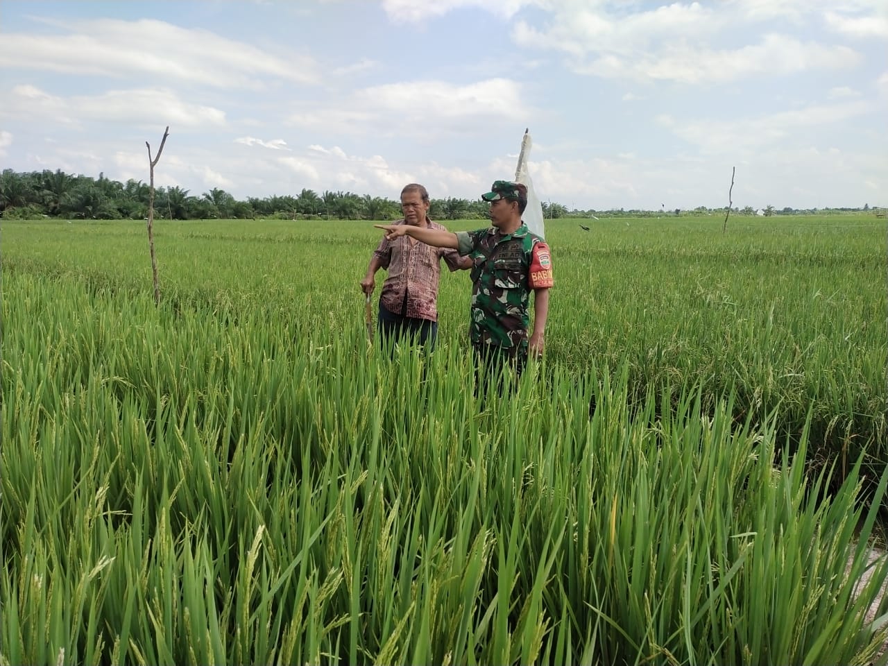 Giat Pelaksanaan Menjaga Ketahanan Pangan Oleh Serka Khorianto