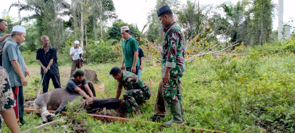 Bersama Pengurus Mesjid, Babinsa Koramil 06 Merbau Laksanakan Pemotongan Qurban