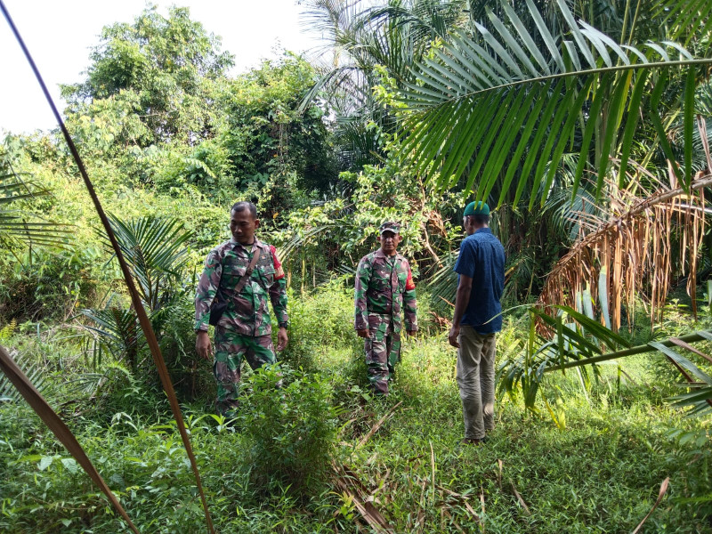 Patroli Rutin Babinsa di Desa Tanjung Padang, Upaya Tangkal Karhutla di Kepulauan Meranti