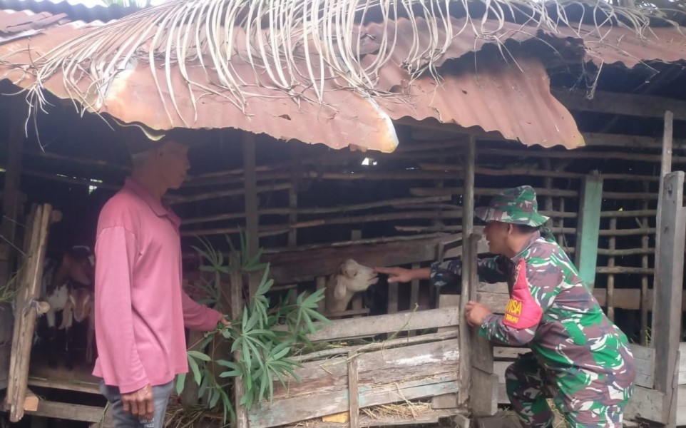 Babinsa Koramil 01/Dumai Sosialisasikan Pencegahan PMK kepada Peternak