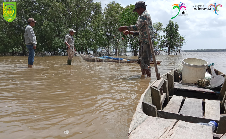 20 Jenis Biota Laut Menanti di Perairan Pantai Terumbu Mabloe