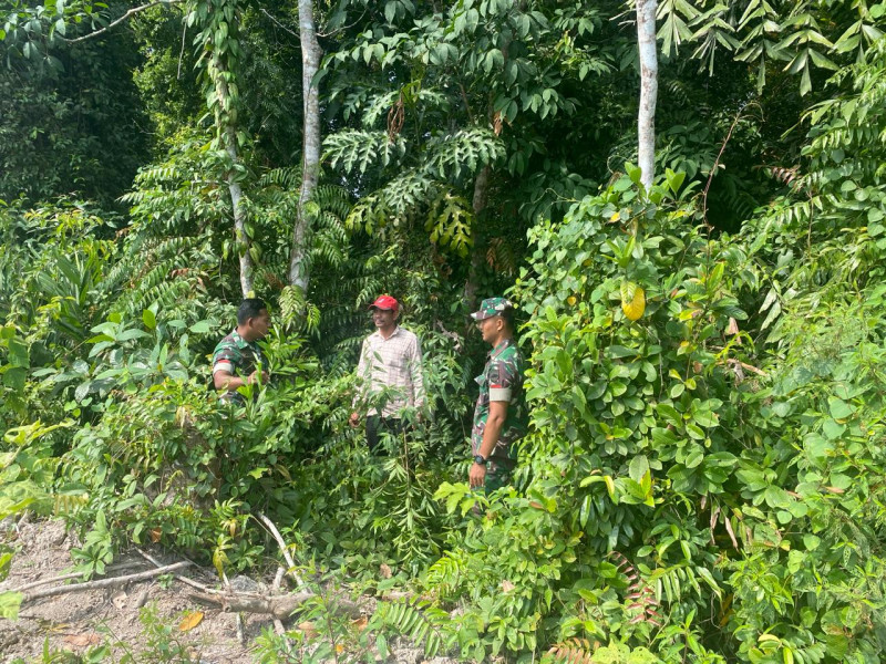 Patroli Rutin Babinsa di Desa Tanjung Pisang, Upaya Tangguhkan Bahaya Karhutla