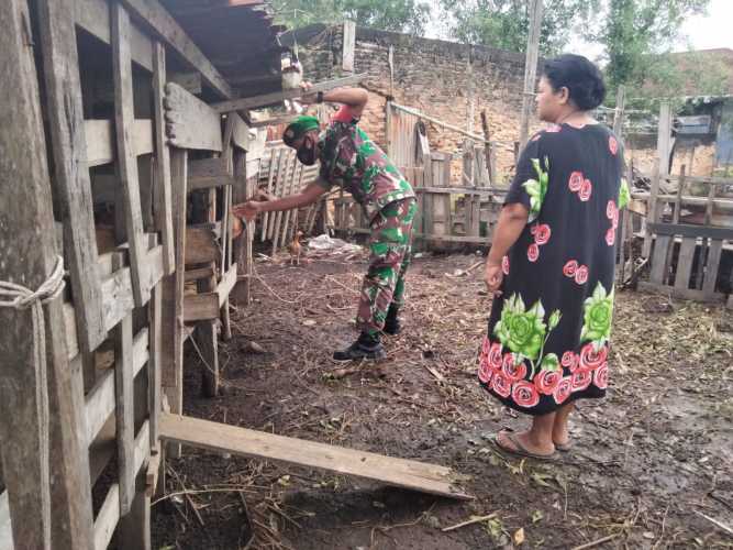 Babinsa Koramil 01 Berikan Edukasi Untuk Mencegah PMK