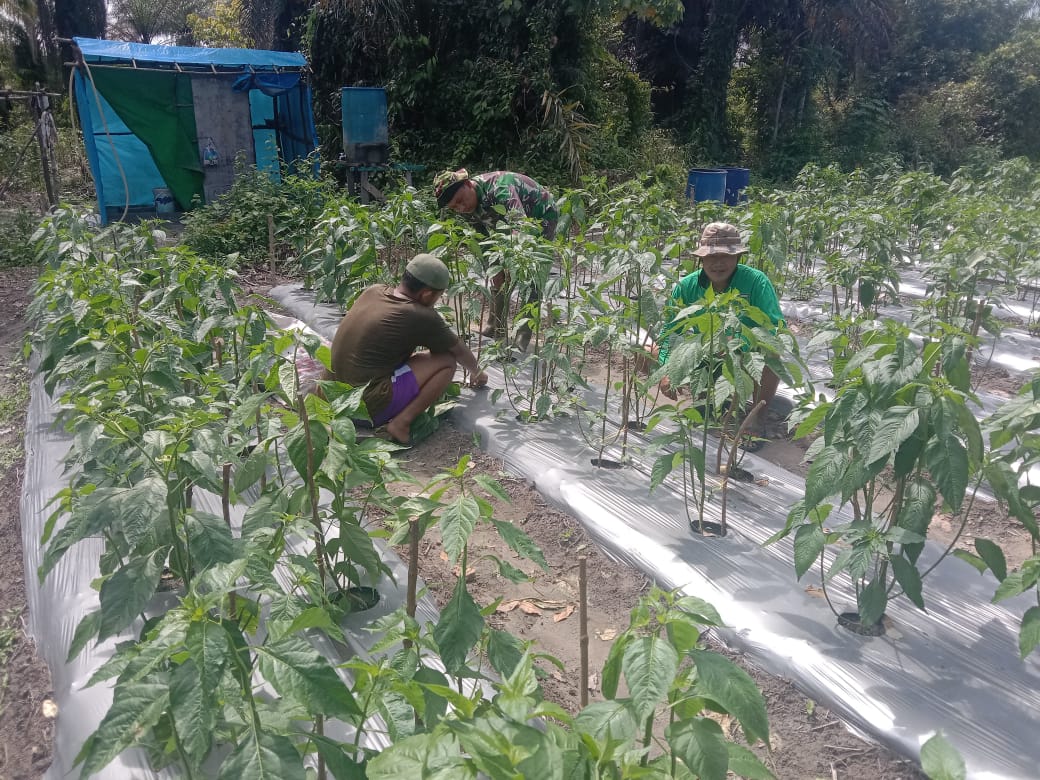 Babinsa Kelurahan Bintan Laksanakan Pendampingan Karya Nyata