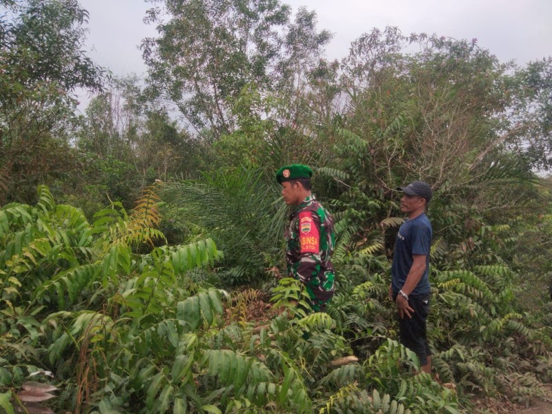 Cegah Karhutla, Babinsa Sosialisasikan Larangan Bakar Lahan di Kelurahan STDI