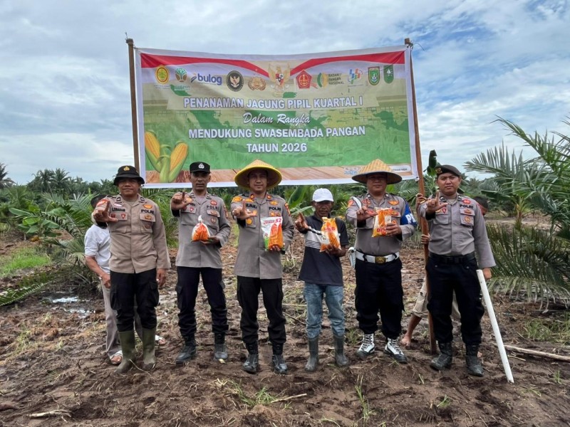 Kapolsek Bukit Kapur Dan Jajarannya Tanam Jagung Pipil Di Lahan Seluas Satu Hektar