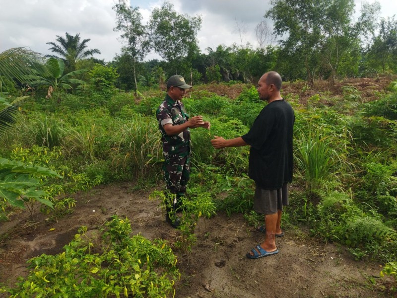 Cegah Karhutla, Babinsa Dumai Selatan Giat Patroli dan Sosialisasi Bahaya Pembakaran Lahan