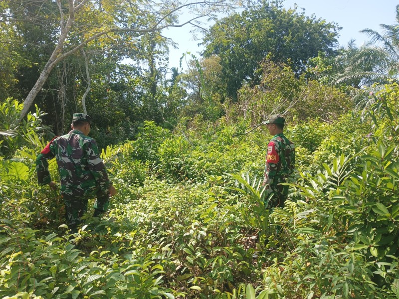Cegah Karhutla, Babinsa Koramil 06/Merbau Intensifkan Patroli di Wilayah Rawan