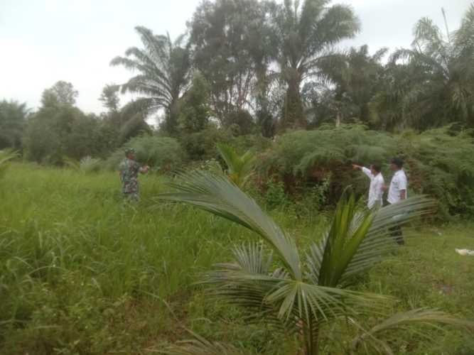 Sertu Ramli Babinsa Mundam Laksanakan Giat Cegah Karhutla