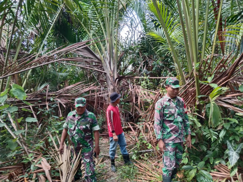 Babinsa Koramil 06/Merbau Gelar Patroli Karhutla di Desa Dedap