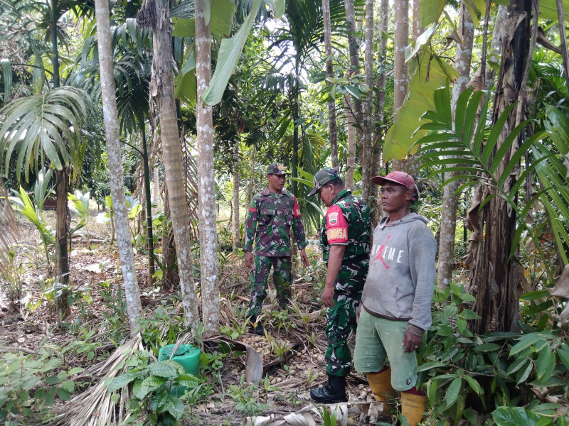 Tekankan Larangan Bakar Lahan, Babinsa Sampaikan Pesan Humanis di Desa Kudap