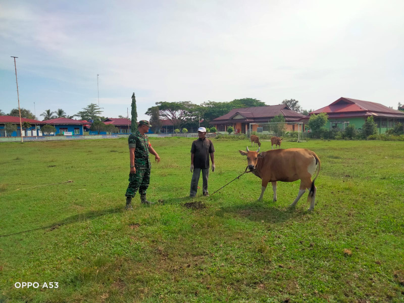 Serda Ansari Laksanakan Giat Cegah PMK